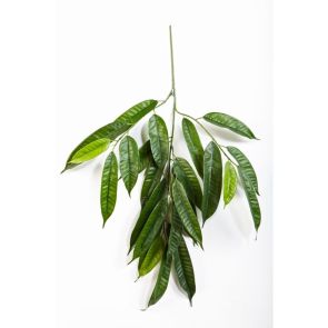 Fat Longifolia Spray - Vlamvertragend behandeld