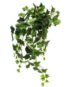 Ivy Chicago hanger groen, H: 70cm