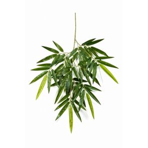 Bamboe blad, H: 65cm