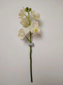 Orchidee wit, H: 45 cm - Uitlopend
