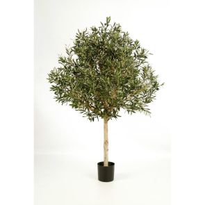 Olijfboom Topiary, H: 180cm