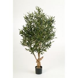 Olijfboom met olijven, H: 120cm 