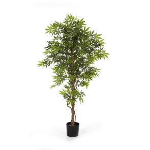 Japanese Maple Groen, H: 150 cm