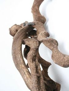 Decowood, Curly vine natural (bundle, 5 pcs.), H: 100cm