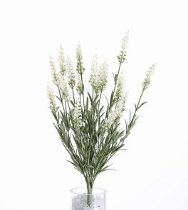 Lavendel wit, H: 45cm UV & Waterproof