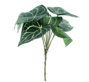 Anthurium Bush, H: 32cm