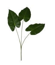 Anthuriumblad, H: 77 cm