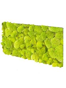 BioMontage, Acoustic Moss Panel 100% Pillowmoss, L: 28cm, H: 5cm, B: 58,5cm