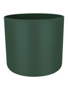 B. For Soft, Round Leaf Green, diam: 30cm, H: 28cm