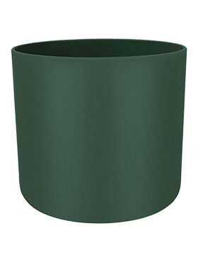 b for soft round leaf green diam 35cm h 32cm