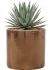 agave macroacantha in cylinder grond outdoor met boomschors diam 30cm h 40cm