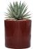 agave macroacantha in cylinder grond outdoor met boomschors diam 30cm h 41cm