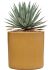 agave macroacantha in cylinder grond outdoor met boomschors diam 30cm h 40cm