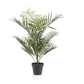 Areca Palm UV bestendig, H: 90cm