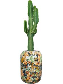 Euphorbia ingens in Designed By Lammie, Grond (Vulkastrat), diam: 46cm, H: 155cm