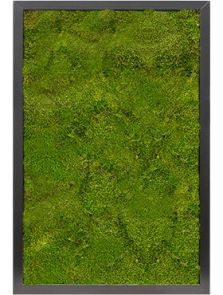 Mosschilderij, MDF RAL 9005 Zijdeglans 100% Platmos, L: 60cm, H: 6cm, B: 40cm