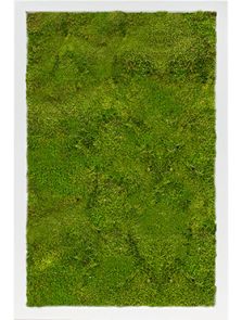 Mosschilderij, MDF RAL 9010 Zijdeglans 100% Platmos, L: 60cm, H: 6cm, B: 40cm