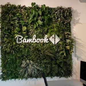 Plantenwand Bambook Ede