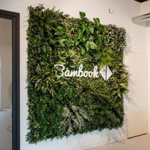Plantenwand Bambook Ede