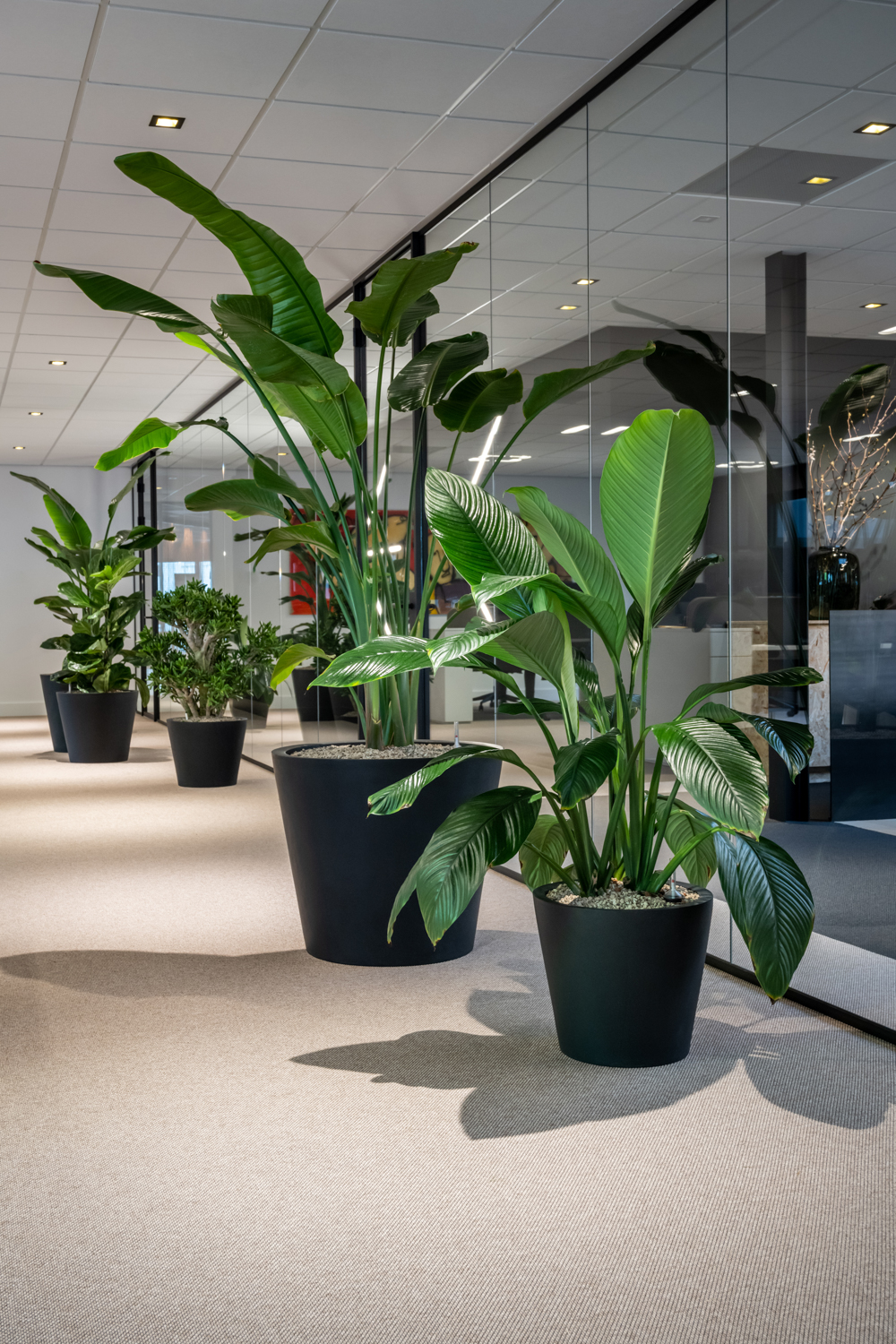 Kantoorbeplanting in verschillende werkomgevingen