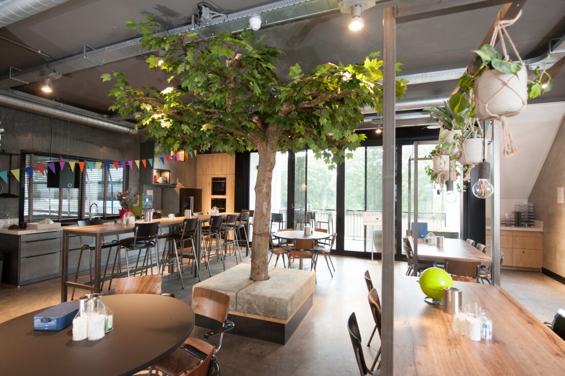 Kantoorbeplanting inclusief onderhoud en hydrocultuur