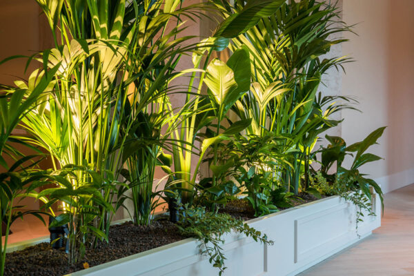 Kantoorbeplanting voor HR en medewerkers