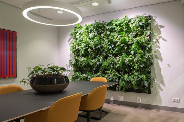 Kantoorbeplanting voor management en directie
