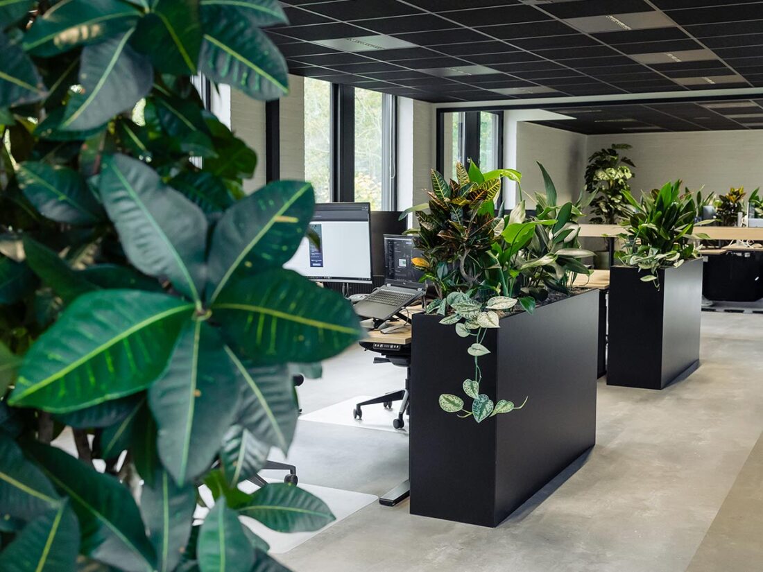 Populaire vormen van kantoorbeplanting