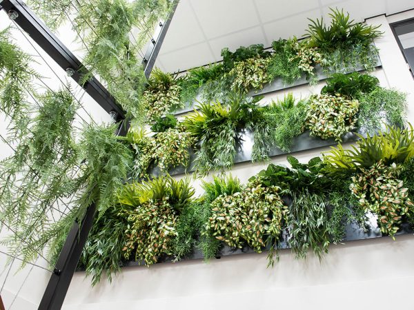 Waarom bedrijven kiezen voor kantoorbeplanting
