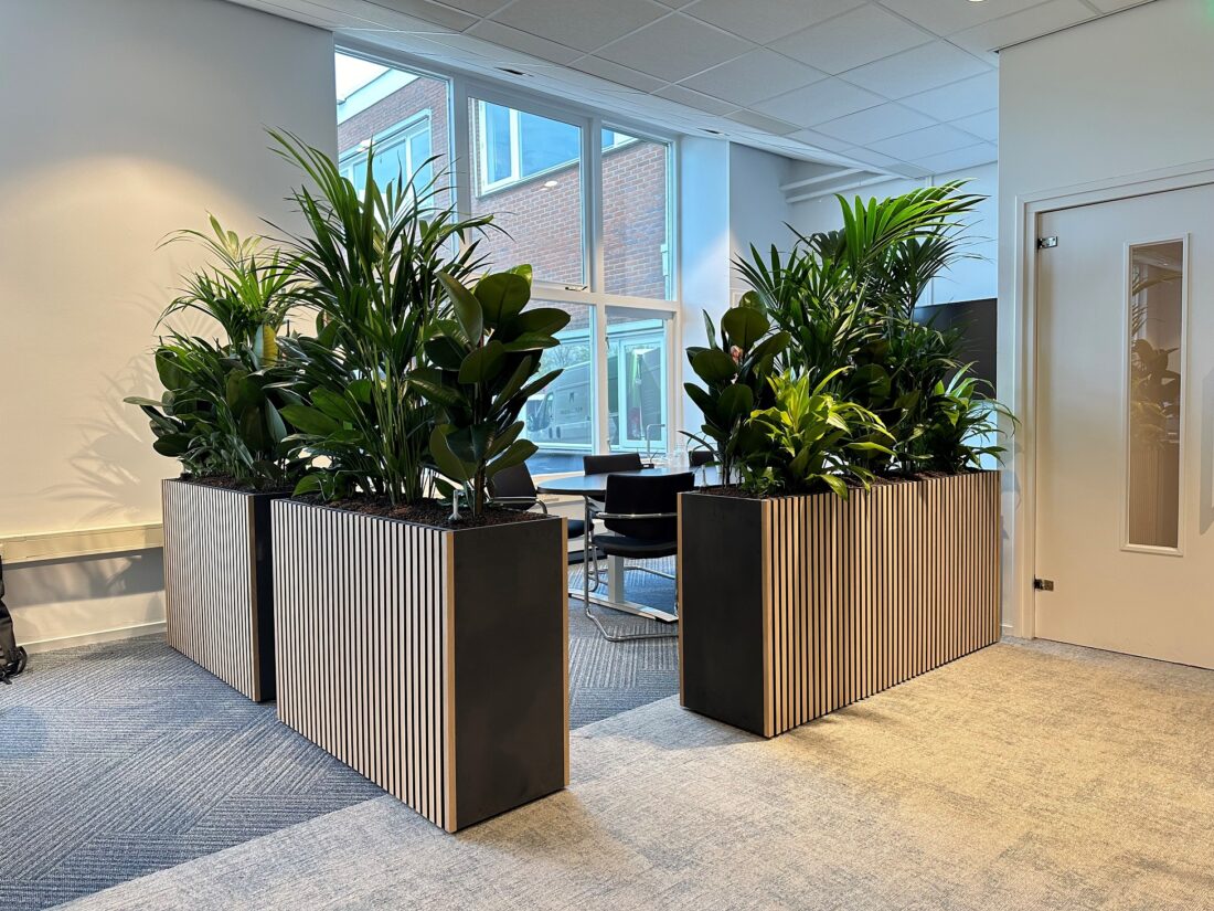 Welke soorten kantoorbeplanting zijn er