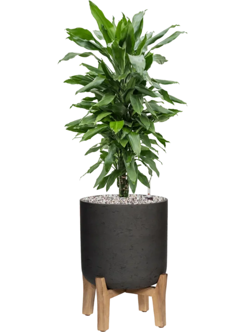 3f0949bc-902a-4fcd-a65c-d6f8a174fe5f-fb9891eb-35ef-44bd-915b-1b73964476c9