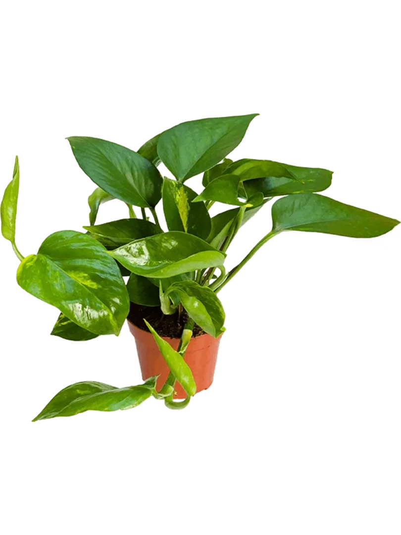 3f0949bc-902a-4fcd-a65c-d6f8a174fe5f-b9acd078-fe3c-4d35-90b2-01834e5991cf