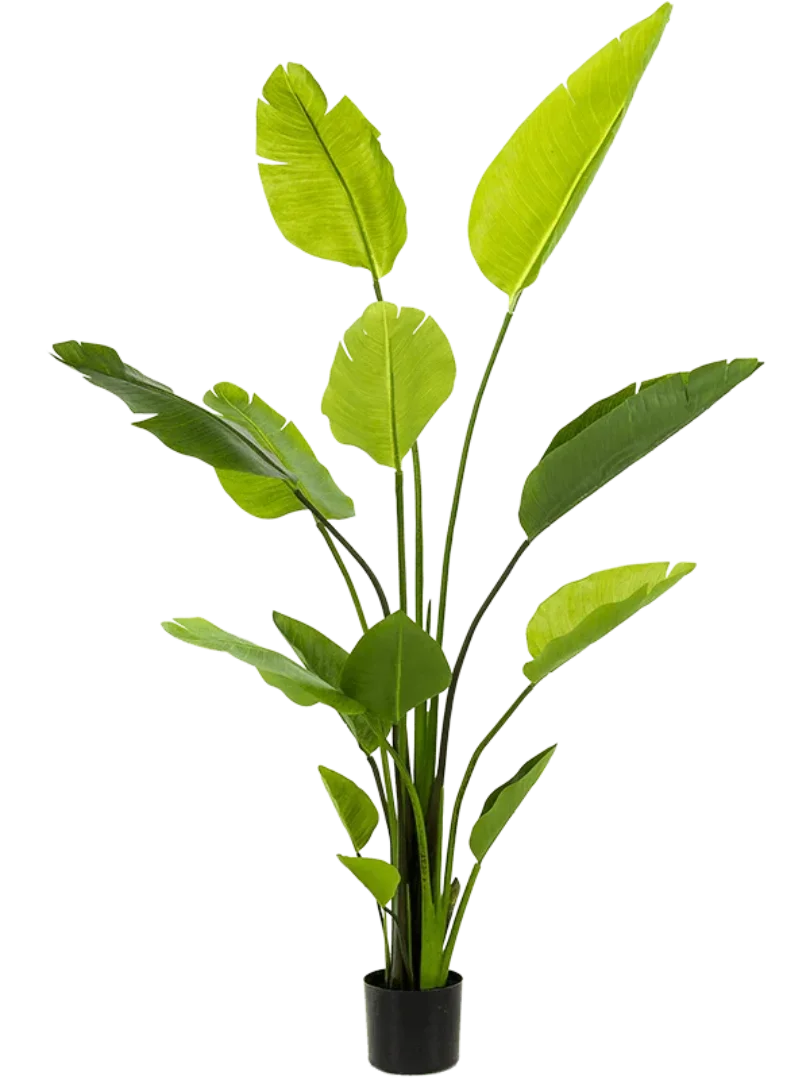 3f0949bc-902a-4fcd-a65c-d6f8a174fe5f-32666c1d-01fc-4cea-b8b4-0e9e600b5d94