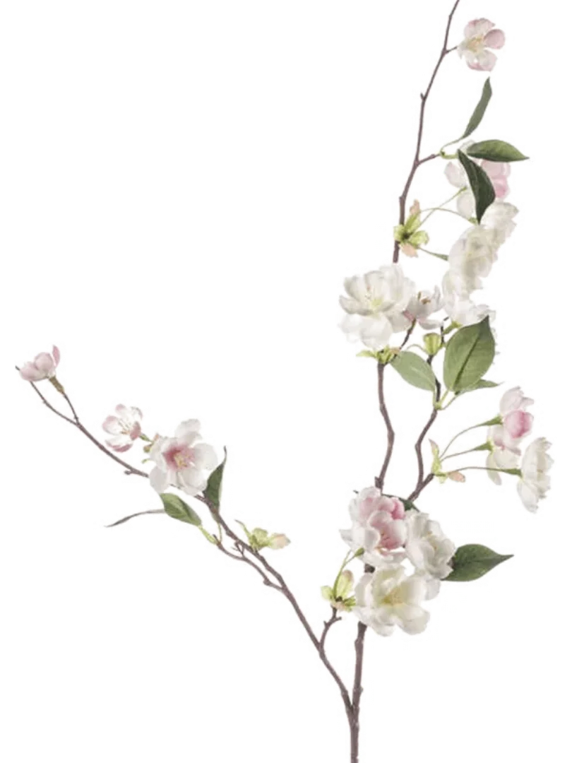3f0949bc-902a-4fcd-a65c-d6f8a174fe5f-b26c3bae-c484-46e3-bd83-ac9aab4a33b5