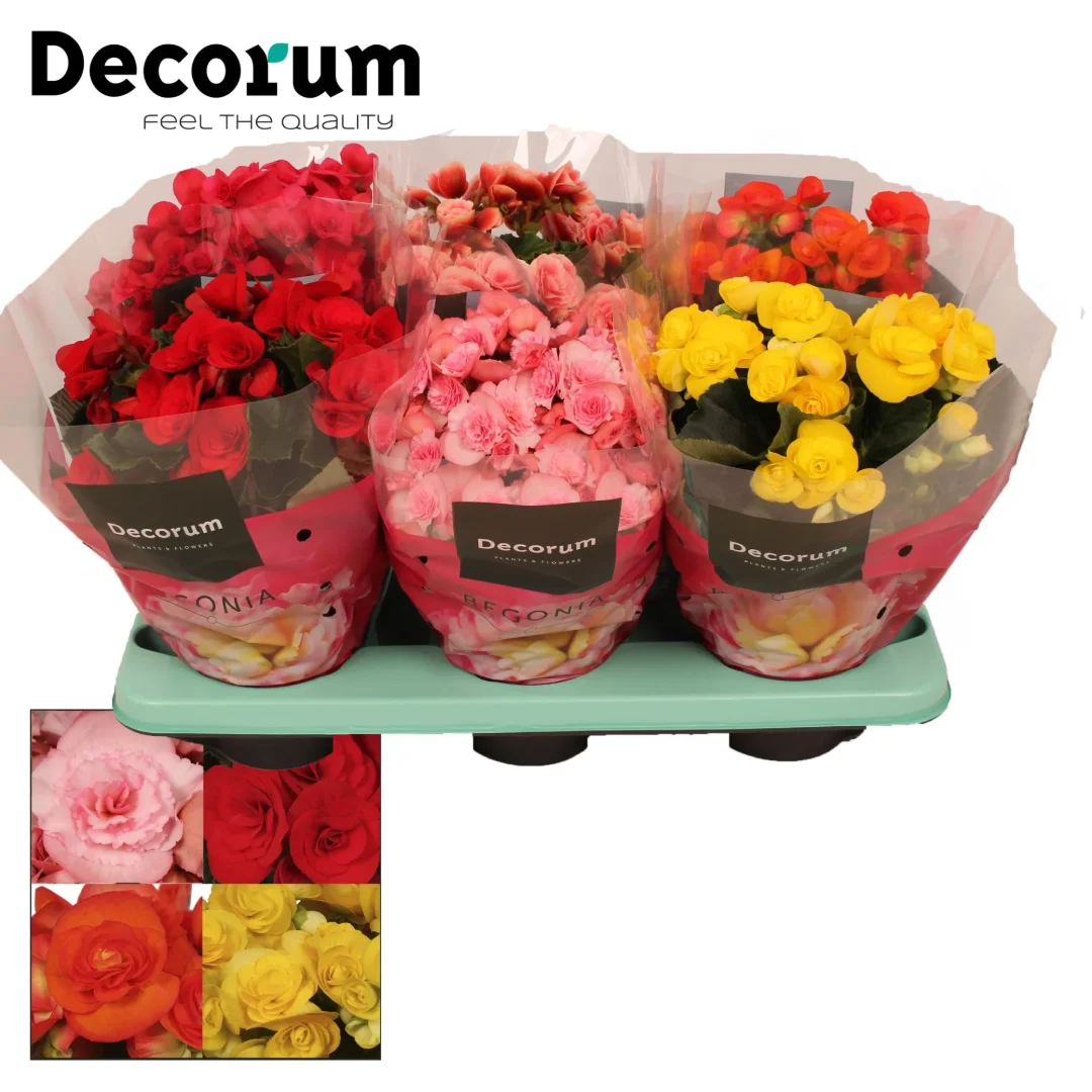 3f0949bc-902a-4fcd-a65c-d6f8a174fe5f-311d1daa-5a04-47ec-80cf-a535b25e8f42