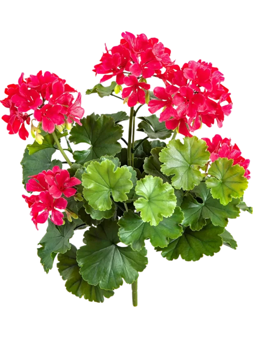3f0949bc-902a-4fcd-a65c-d6f8a174fe5f-d4524760-be7a-49b6-a56b-2c62792b7206