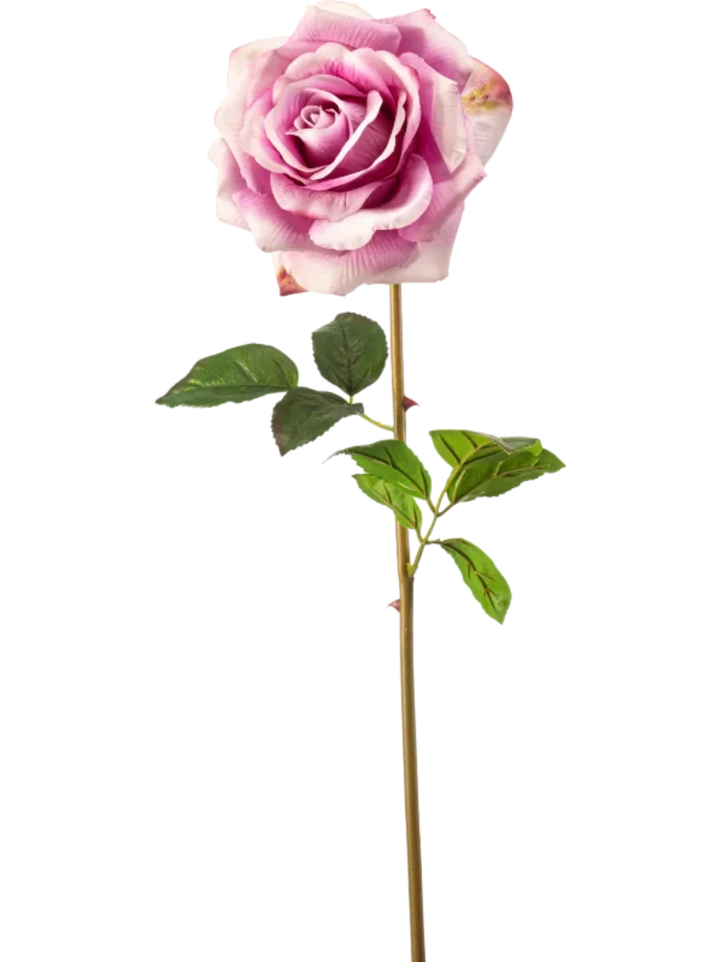 3f0949bc-902a-4fcd-a65c-d6f8a174fe5f-718121b4-b10c-4086-9642-7aa30f5cef68