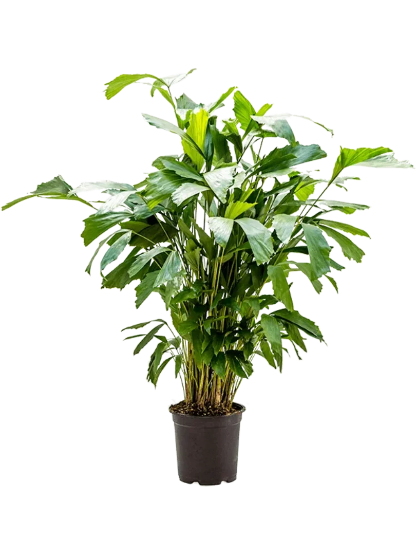 3f0949bc-902a-4fcd-a65c-d6f8a174fe5f-e856ab1c-3a80-44be-bba7-008333c2c658
