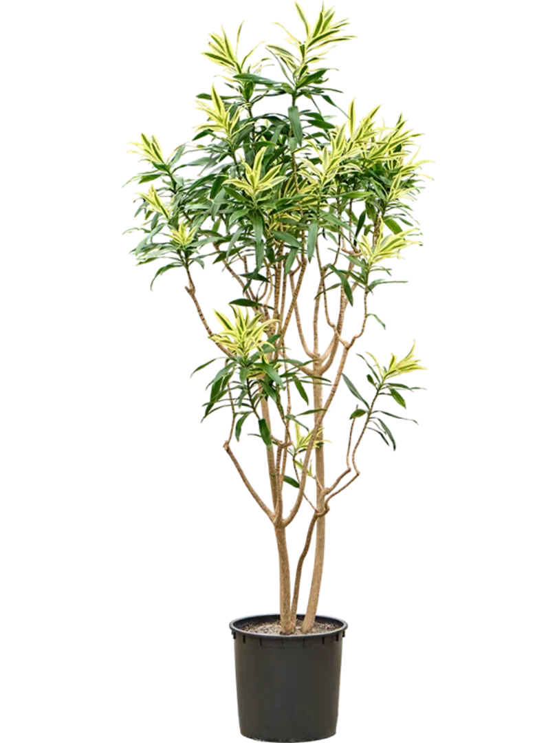 3f0949bc-902a-4fcd-a65c-d6f8a174fe5f-d28d0fb7-1aae-4d6f-9d31-a9c6a8545a6e