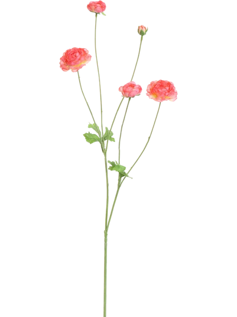 3f0949bc-902a-4fcd-a65c-d6f8a174fe5f-260f46a3-32c6-41d7-9be0-6ce561ada64d