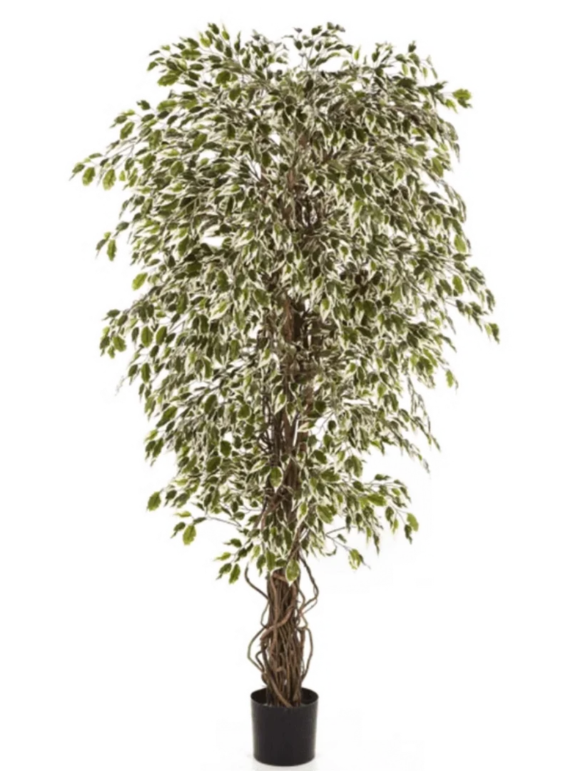 3f0949bc-902a-4fcd-a65c-d6f8a174fe5f-5c7ec41d-bd78-48af-adda-f324e86acb1d