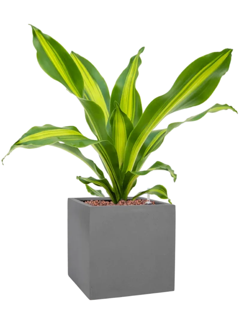 3f0949bc-902a-4fcd-a65c-d6f8a174fe5f-8d4f3ca9-eae0-40e4-99cc-2db38baf01fd