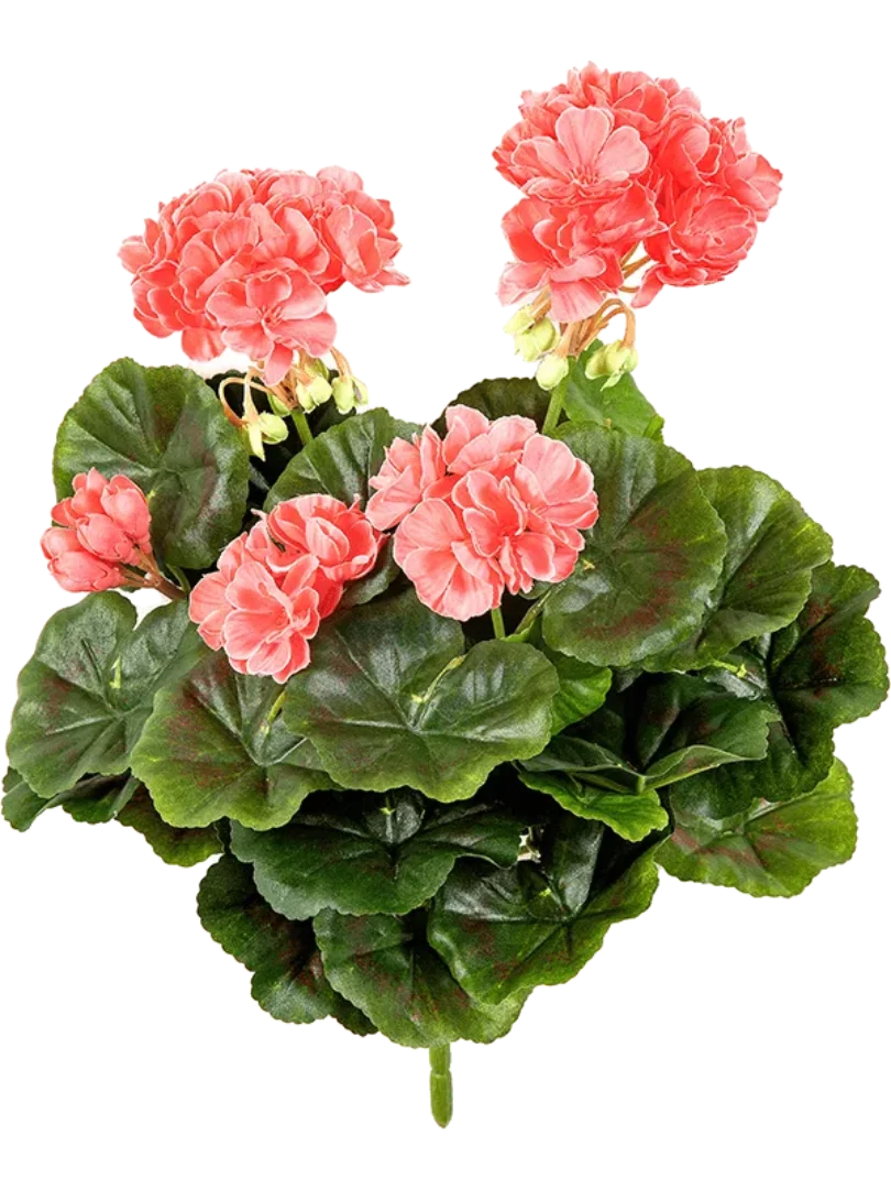 3f0949bc-902a-4fcd-a65c-d6f8a174fe5f-421887a2-4595-4bdb-a3b1-b63ec5ea616d