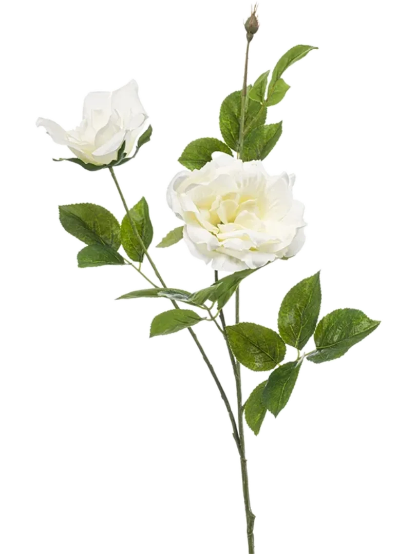 3f0949bc-902a-4fcd-a65c-d6f8a174fe5f-31c43178-5d7a-4c32-a5c4-7f418164be28