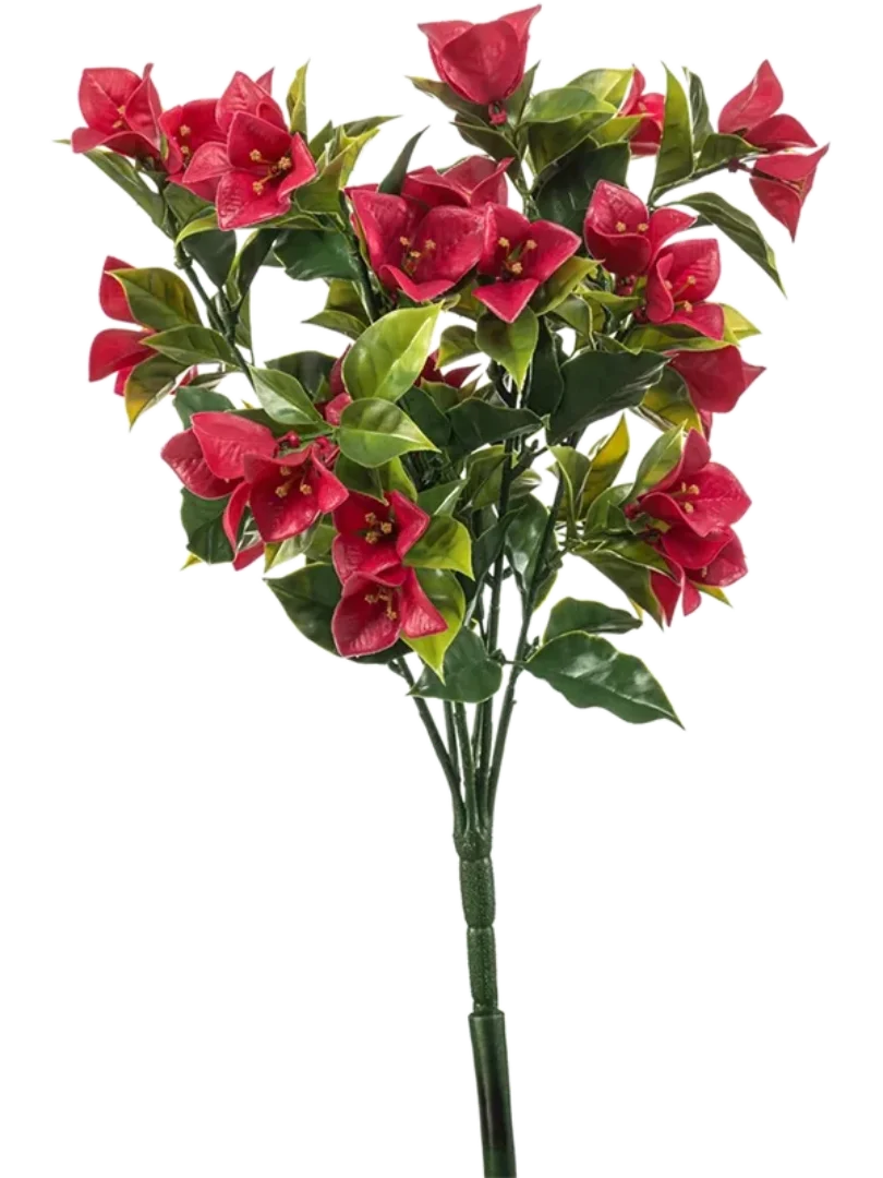 3f0949bc-902a-4fcd-a65c-d6f8a174fe5f-7c8a72d8-efee-409a-a4d5-5de6e2a32d7c
