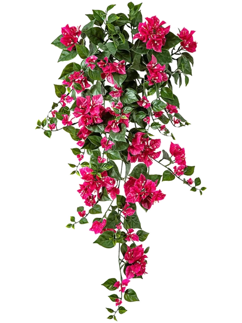 3f0949bc-902a-4fcd-a65c-d6f8a174fe5f-5bb5d996-c1a5-4639-bb97-7aaf51af8afe