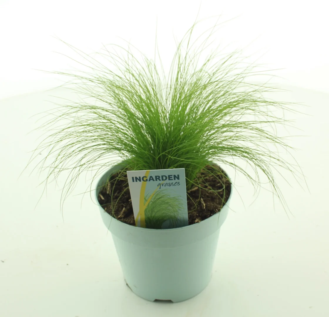 3f0949bc-902a-4fcd-a65c-d6f8a174fe5f-4f2c4f2b-fa5e-425c-9d4d-78d30895fa8e