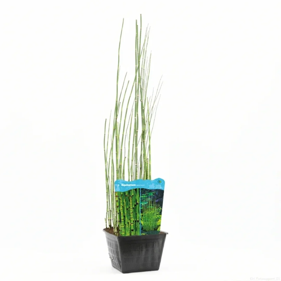 3f0949bc-902a-4fcd-a65c-d6f8a174fe5f-bd3bebe7-66a2-458f-a580-137ca8600c7d