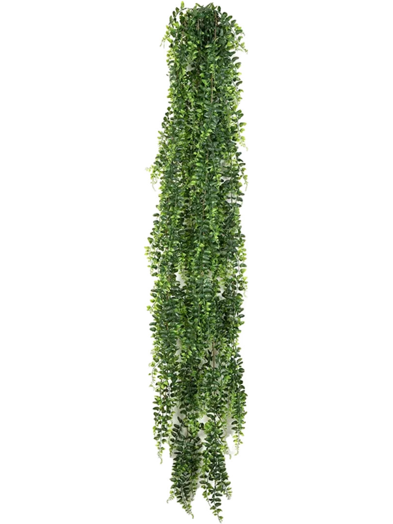 3f0949bc-902a-4fcd-a65c-d6f8a174fe5f-b44c65b3-5b9f-4858-a5ef-8d40e6cd91f3