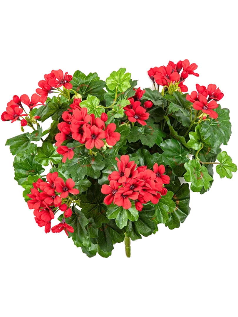 3f0949bc-902a-4fcd-a65c-d6f8a174fe5f-4725ae9e-c4f1-40ff-975c-7ad84d330266